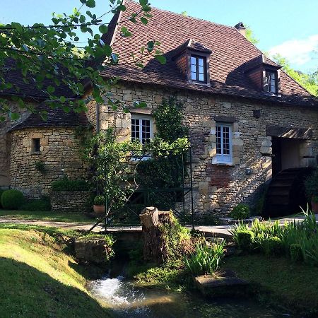 Le Moulin De La Beune Hotel Les Eyzies Exterior photo